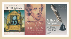 Nothing Like The Sun book covers