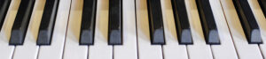 Bosendorfer piano keys
