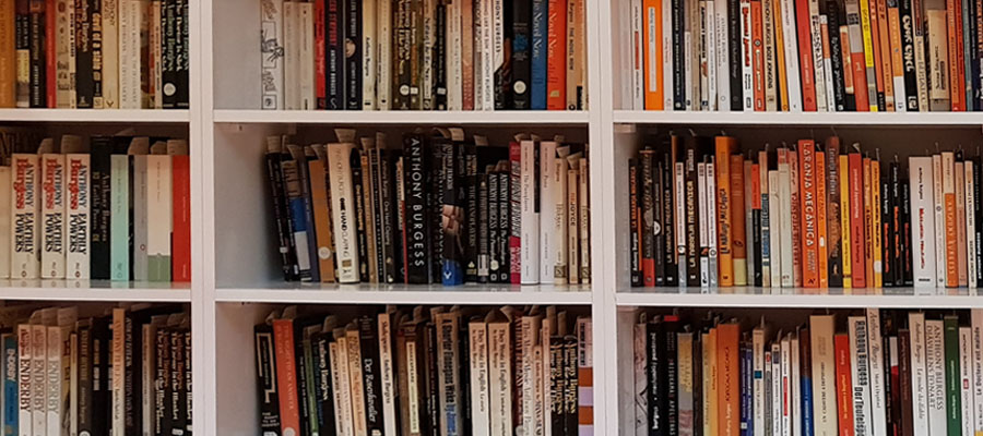 Books on Reading Room shelves