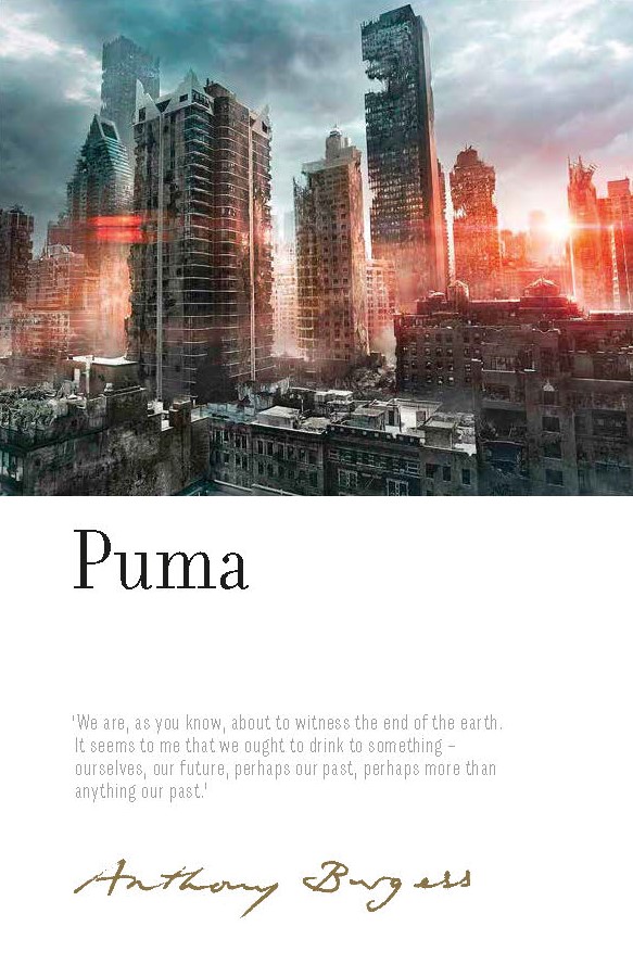 Image result for puma irwell edition anthony burgess